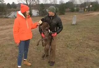 Igor Tracz szkoli psy na zdobywców medali. "Uwielbiają biegać"