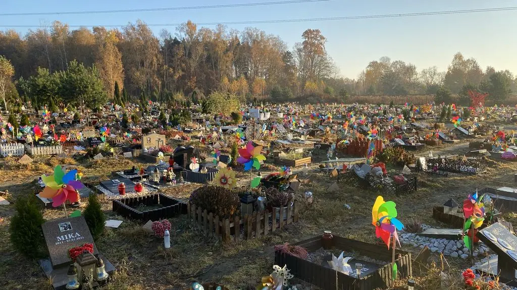 Cmentarz dla zwierząt