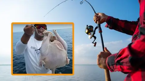 Indyk na haczyku. Co można złowić?