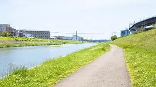 Czy rzeki wyschną z powodu suszy hydrologicznej? "Jest coraz gorzej"