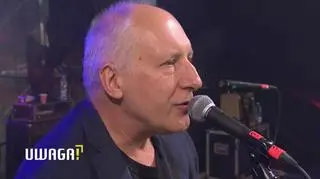Elektryczne Gitary - kultowa formacja polskiej sceny muzycznej