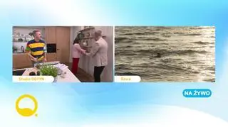Ser w roli głównej 
