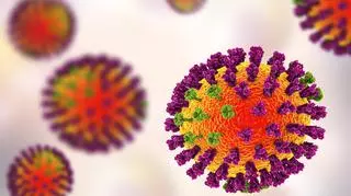 Pierwszy przypadek zakażenia nowym, groźnym wirusem. Co to za choroba i gdzie występuje?