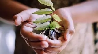 Fundraising – na czym polega? Jak działają organizacje pozarządowe w Polsce?