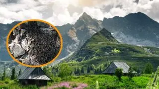 Turyści zauważyli skupiska tysięcy larw w Tatrach. Przypominają pełzającego węża