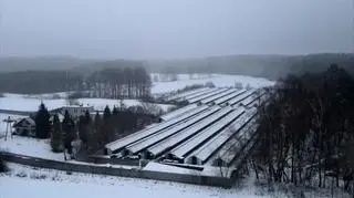 Uwaga! TVN. Wstrząsające nagrania z ferm norek