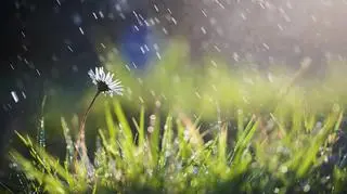 Pogoda na sobotę, 13 kwietnia. Gdzie będzie padał deszcz?