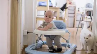 Kot uratował dziecko przed upadkiem