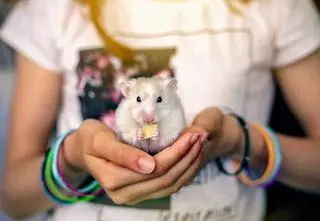 Powstaje Centrum Adopcyjne Gryzoni. To szansa na kochający dom dla niechcianych zwierząt 