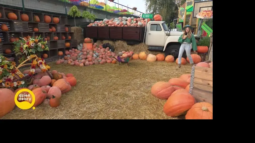 DD_20230927_Pogoda_REP