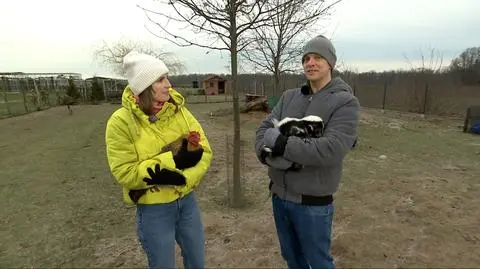 Szopowisko - wyjątkowy dom dla dzikich zwierząt 