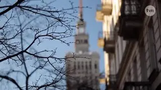 Czy pozwolisz pijanej osobie jechać samochodem? 