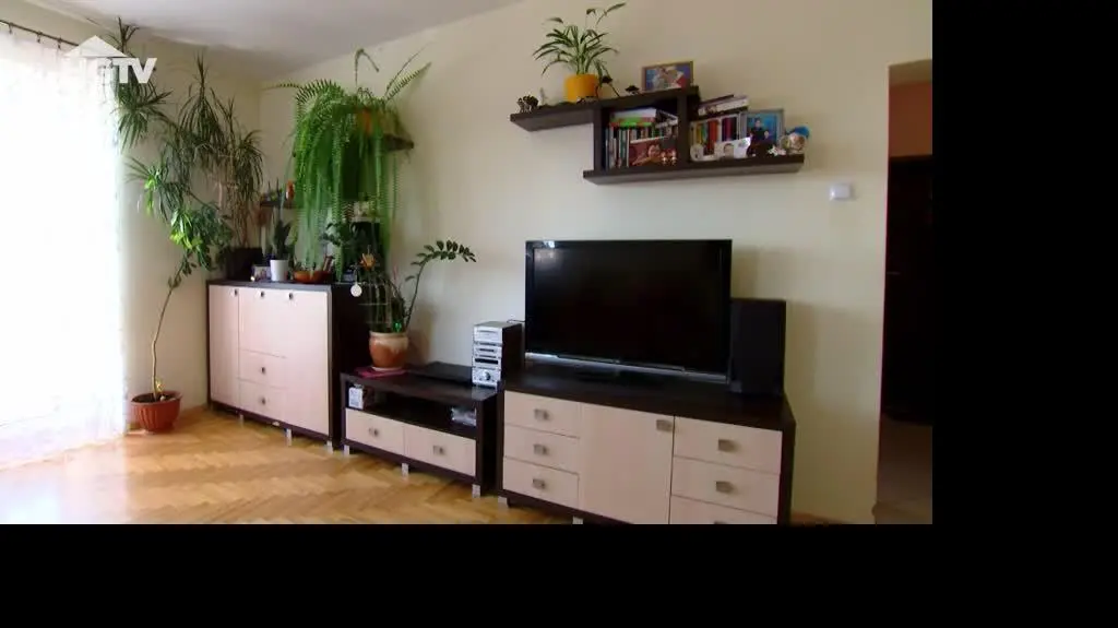 230919_HGTV_ZR_Kwiaty_w_mieszkaniu
