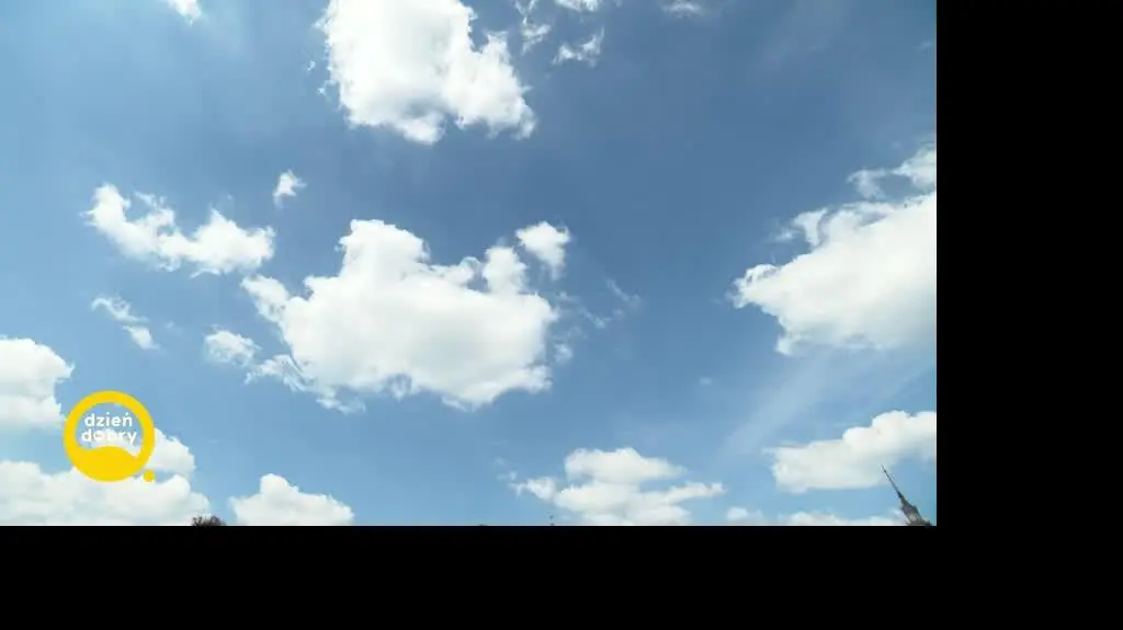 DD_20240608_Wystep_REP