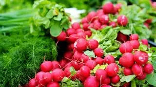 Wkrótce pojawią się pierwsze nowalijki. Jeśli nie chcesz czekać, możesz wyhodować je samodzielnie