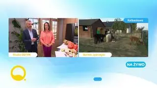 Rozgrzewające, jesienne zupy 