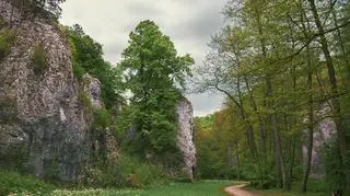 Nadmorski Park Krajobrazowy – co warto w nim zwiedzić?