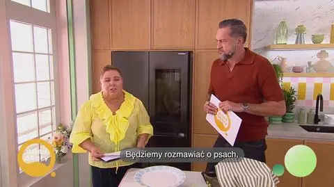 Szczekanie? Dozwolone w pracy tylko dla piesków - napisy