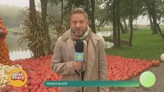 Jesień na farmie dyń 