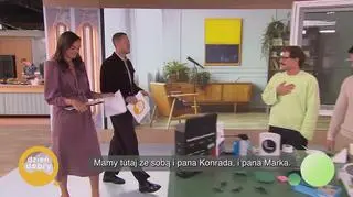 Owady w domu – nieproszeni lokatorzy (napisy)