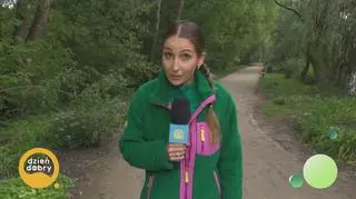Jesienne aktywności dla całej rodziny 