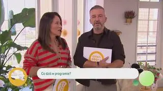 Początek programu 