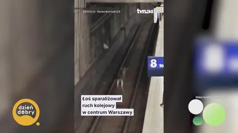 Klatka kluczowa-747657