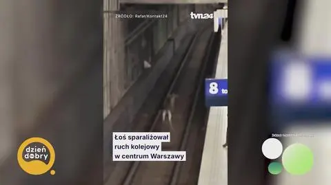 Klatka kluczowa-748931