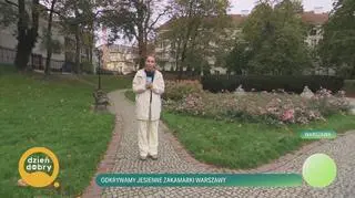 Odkrywamy jesienne zakamarki Warszawy 