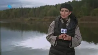 Łosie w Kampinoskim Parku Narodowym (Pogoda TTV 12.10)