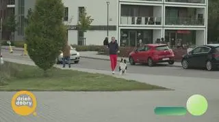 L4 na zwierzęta, potrzeba czy przesada? - napisy