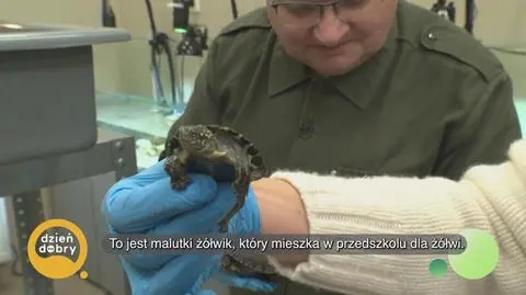 Klatka kluczowa-778972