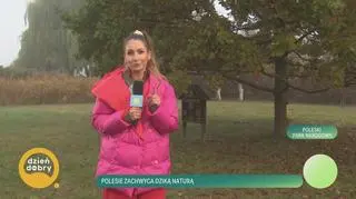 Klatka kluczowa-781382