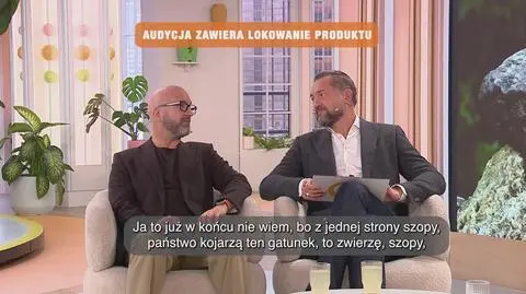 Klatka kluczowa-784570