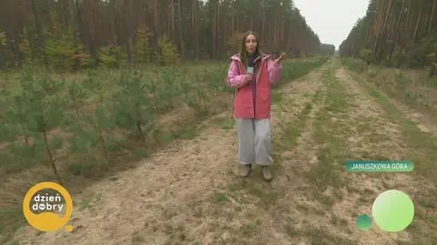 Klatka kluczowa-785061