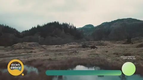 Klatka kluczowa-791314