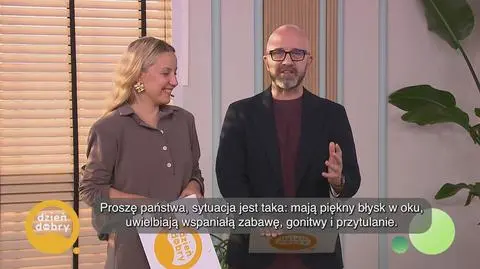 Klatka kluczowa-797502