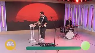 Miki Fin w piosence "Wiosna przyszłego roku" 