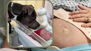 Poprosiła lekarzy, by mogła rodzić z psem