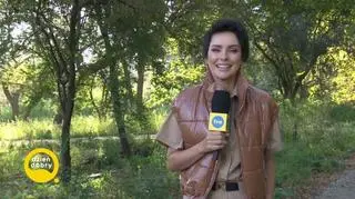 Sposób na aktywny czas z rodziną 
