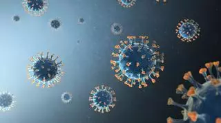Eris - nowy wariant koronawirusa. Czy czeka nas powrót pandemii?  