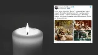 Zmarła Emilie Benes Brzezinski, mama ambasadora USA w Polsce. "Pozostawia po sobie pustkę nie do wypełnienia" 