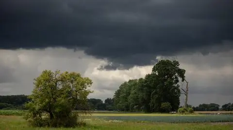 Pogoda na poniedziałek. Upały i burze z gradem dadzą się we znaki. IMGW ostrzega