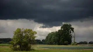 Pogoda na poniedziałek. Gdzie może zagrzmieć? Sprawdź alerty IMGW