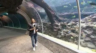 Najnowocześniejsze ZOO w Europie 