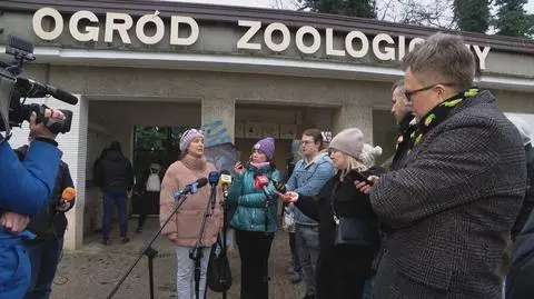 Uwaga! TVN. Zarzuty dla dyrektorki poznańskiego zoo. 