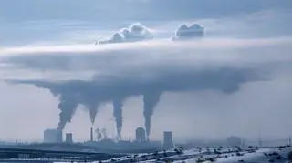 Czy smog zwiększa odporność na antybiotyki? Naukowcy nie mają wątpliwości  