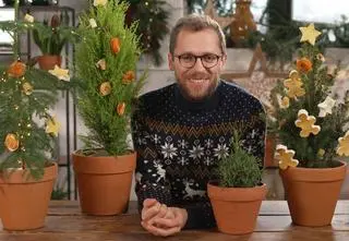 Miniaturowe choinki świąteczne. Które z nich są najlepsze?