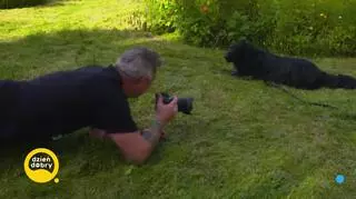 Fotograf, którego kochają wszystkie psy 