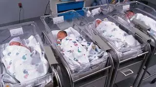 W poznańskim szpitalu urodziły się czworaczki. "Rodzina może liczyć na pełne wsparcie"